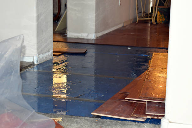 Professional Burst Pipe Water Damage technician working in Rice, TX